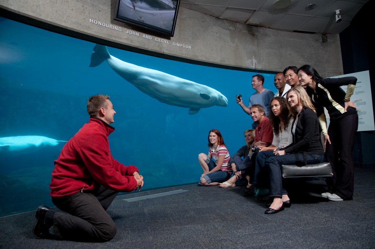 7 MustSee & Do Things in Vancouver 29Secrets